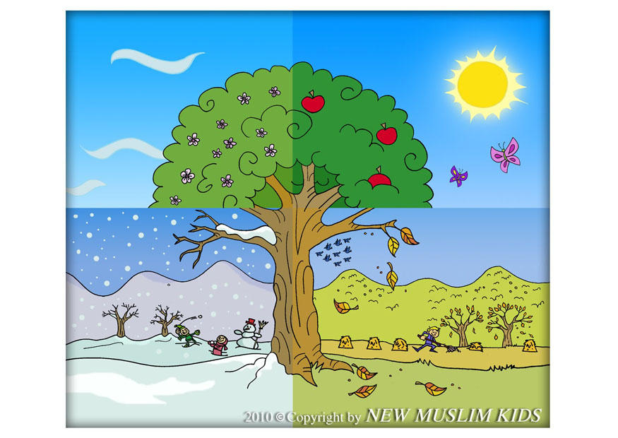 four seasons Image four seasons