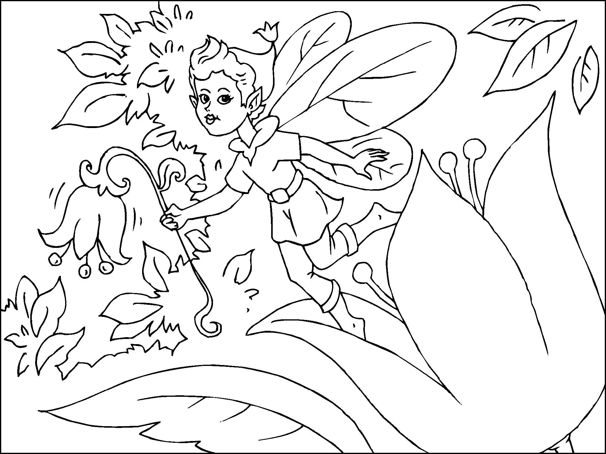 fairy Coloring page fairy