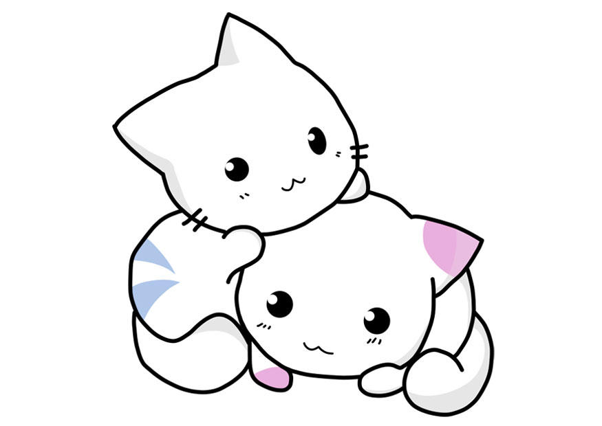 kittens Image kittens