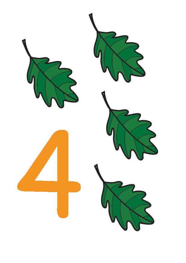 4 Image 4
