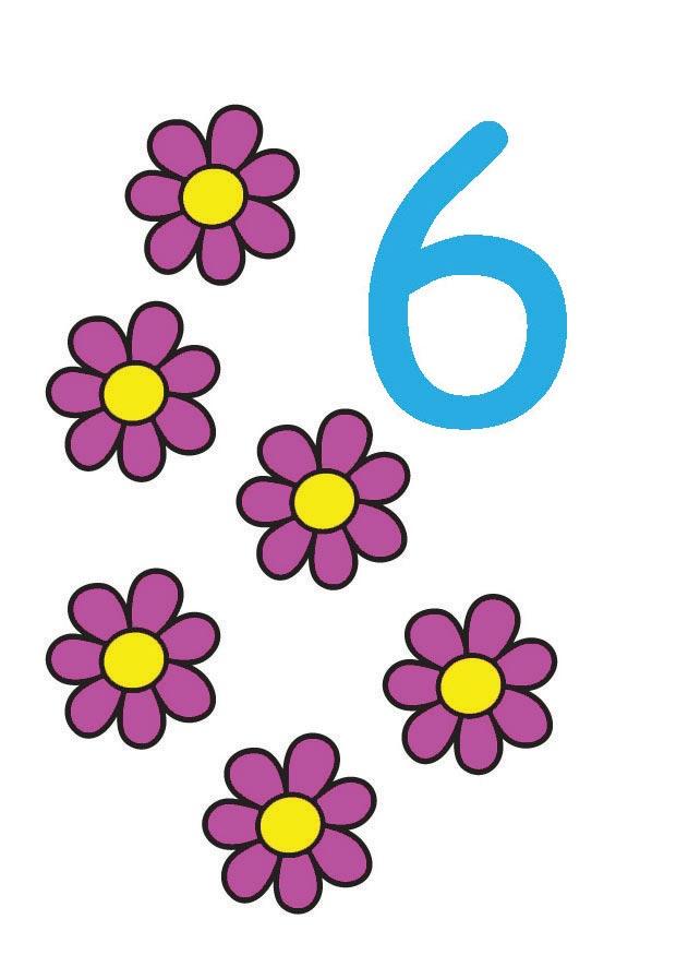 6 Image 6