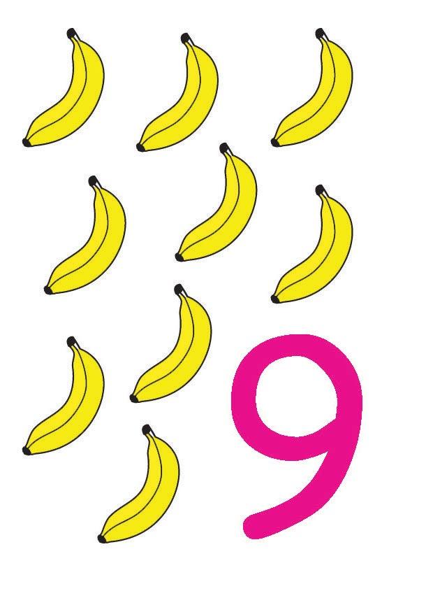 9 Image 9