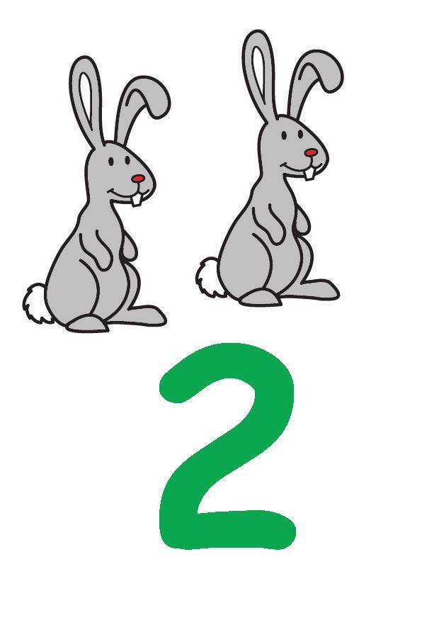 2 Image 2