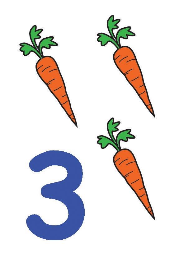 3 Image 3