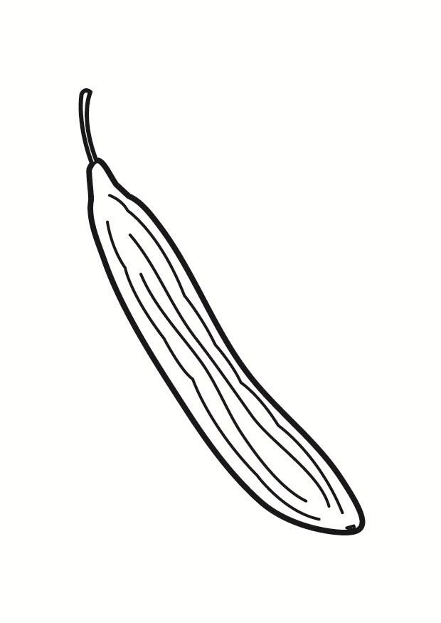 Coloring page cucumber