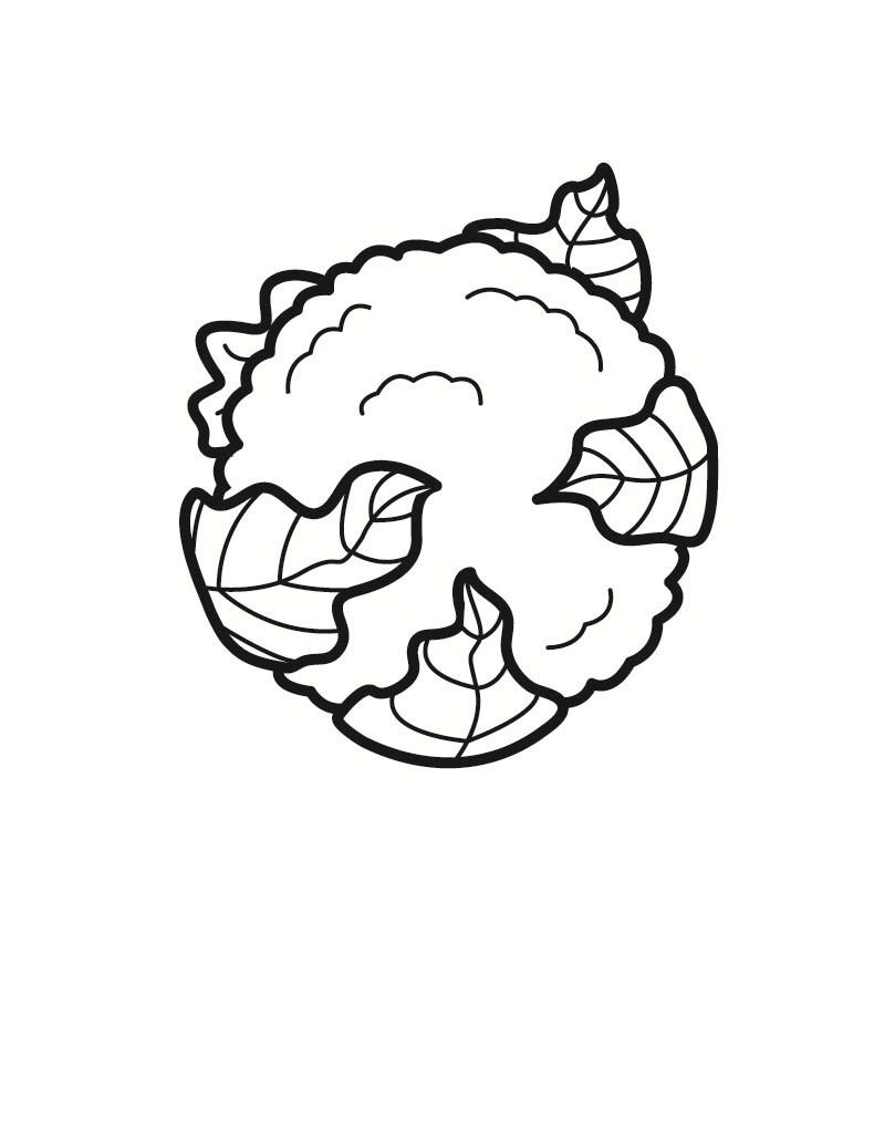 cauliflower Coloring page cauliflower