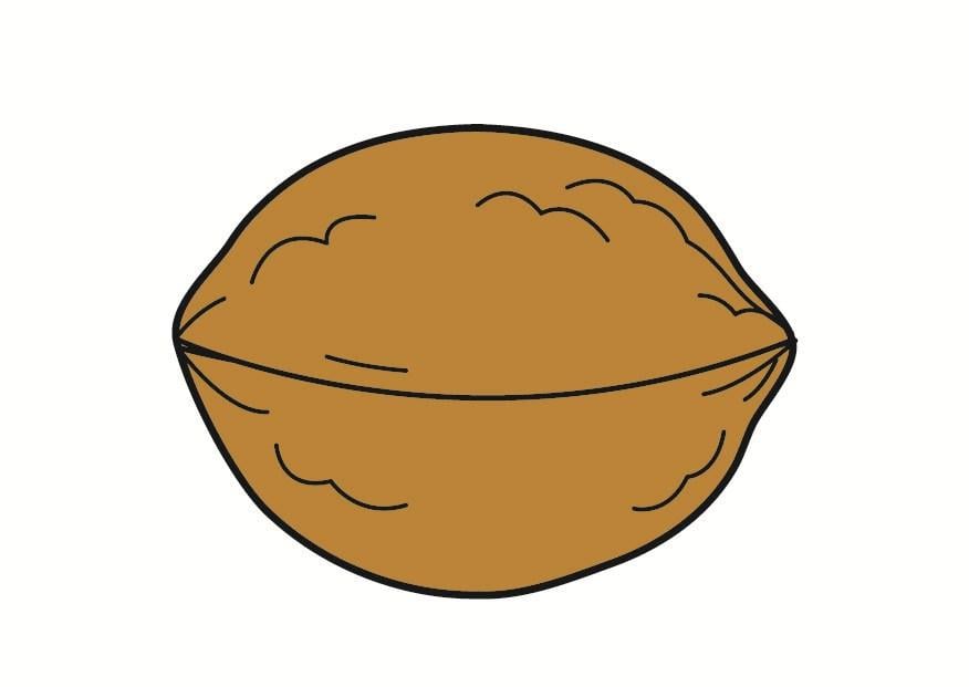 Image nut