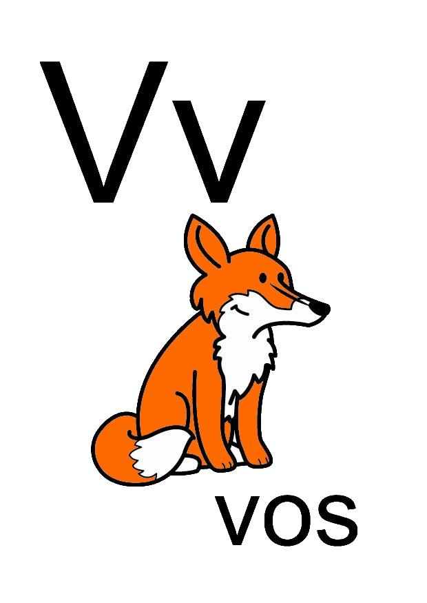 v Image v