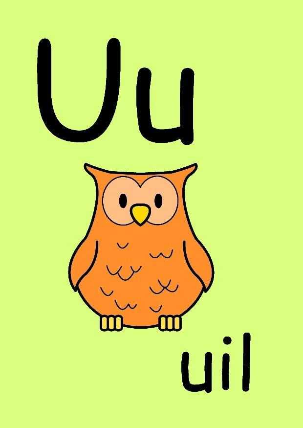 u Image u