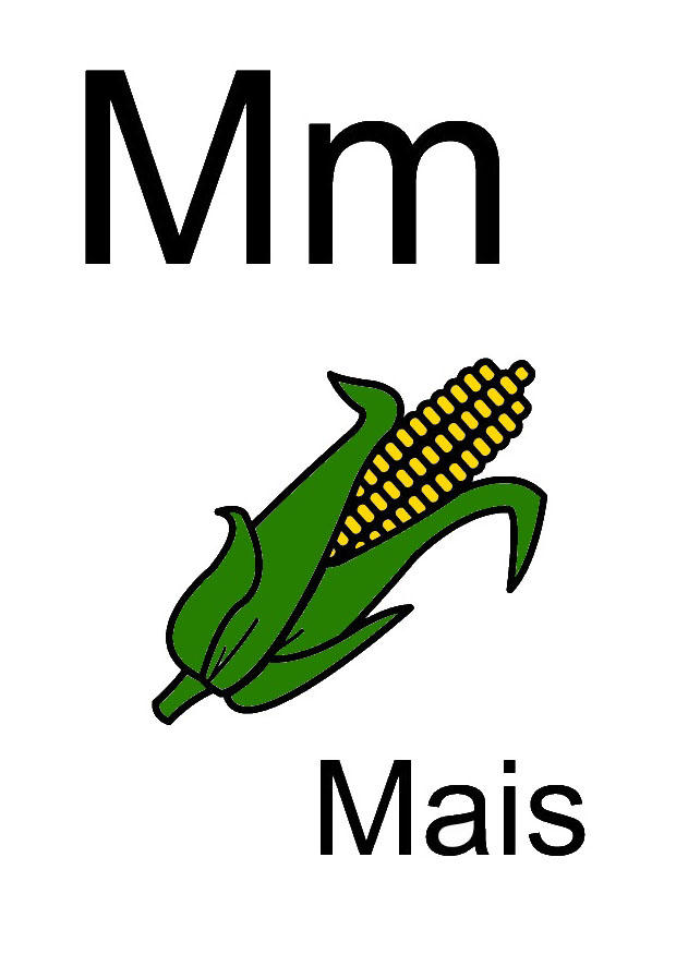 m Image m