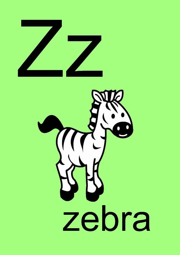 z Image z