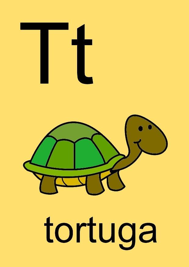 t Image t