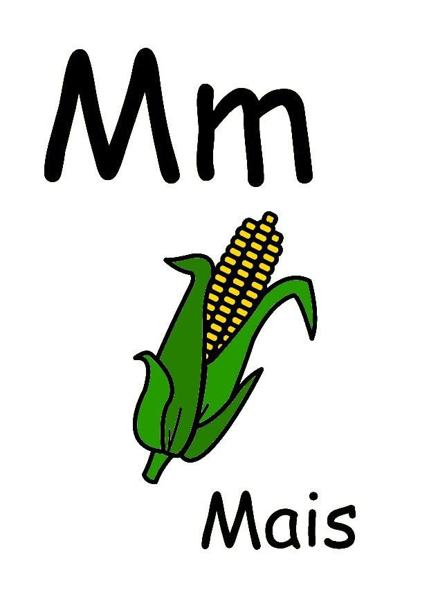 m Image m
