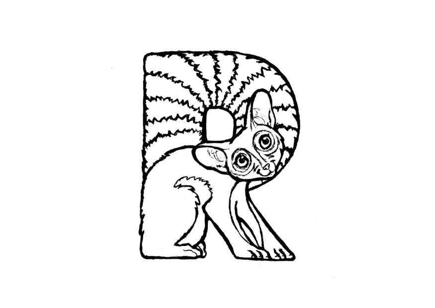 r-ringtail Coloring page r-ringtail