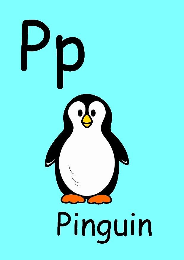p Image p