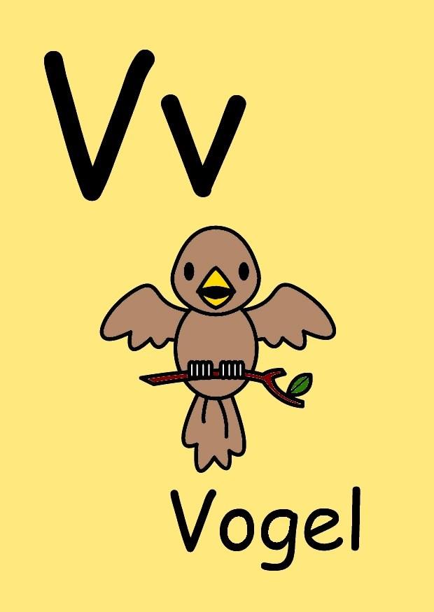 v Image v
