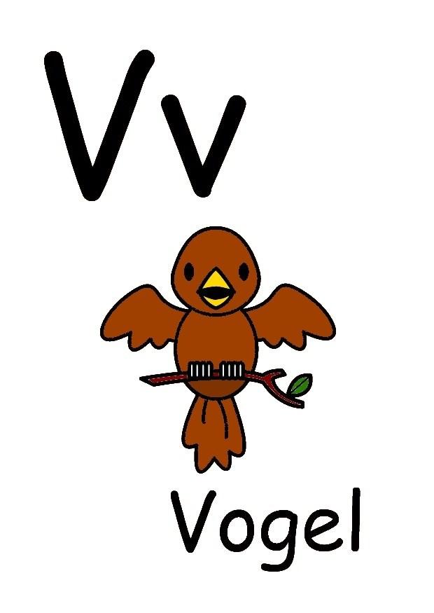 v Image v