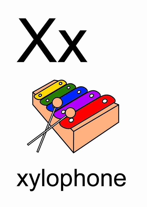 x Image x
