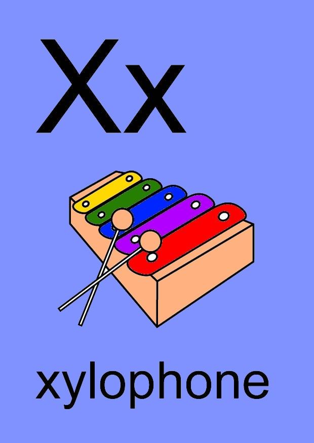x Image x