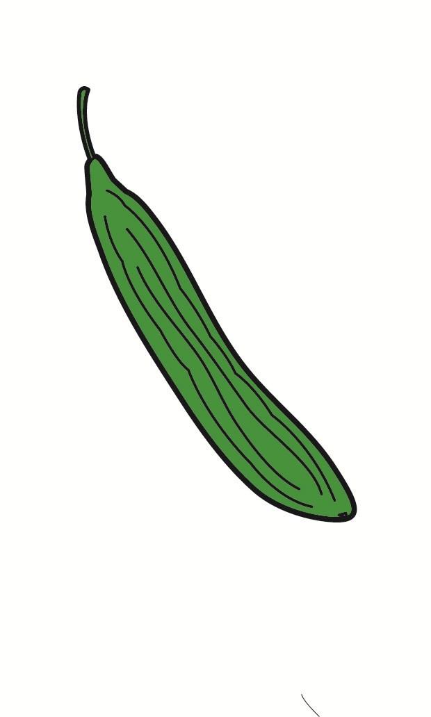 cucumber Image cucumber