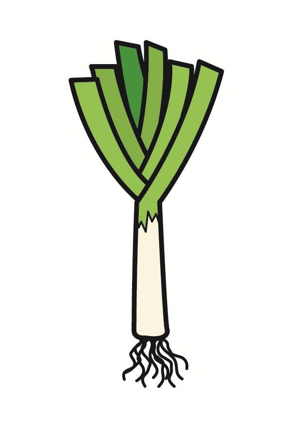 leek Image leek