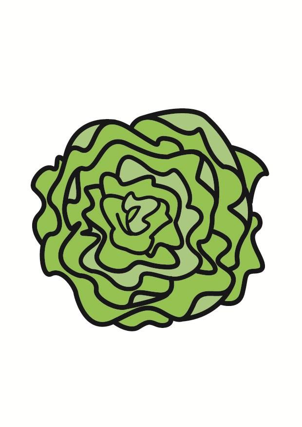lettuce Image lettuce