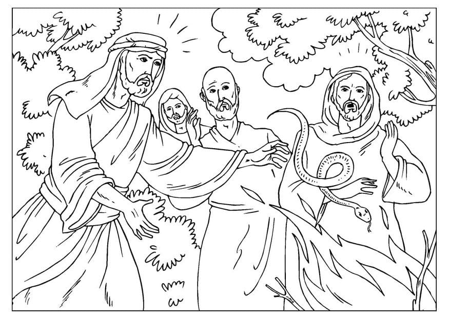 Coloring page paul bitten by snake