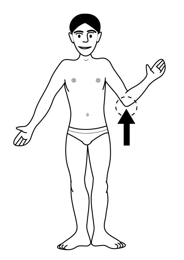 elbow Coloring page elbow
