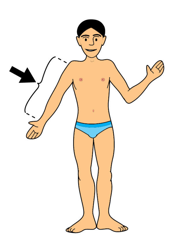 Image arm