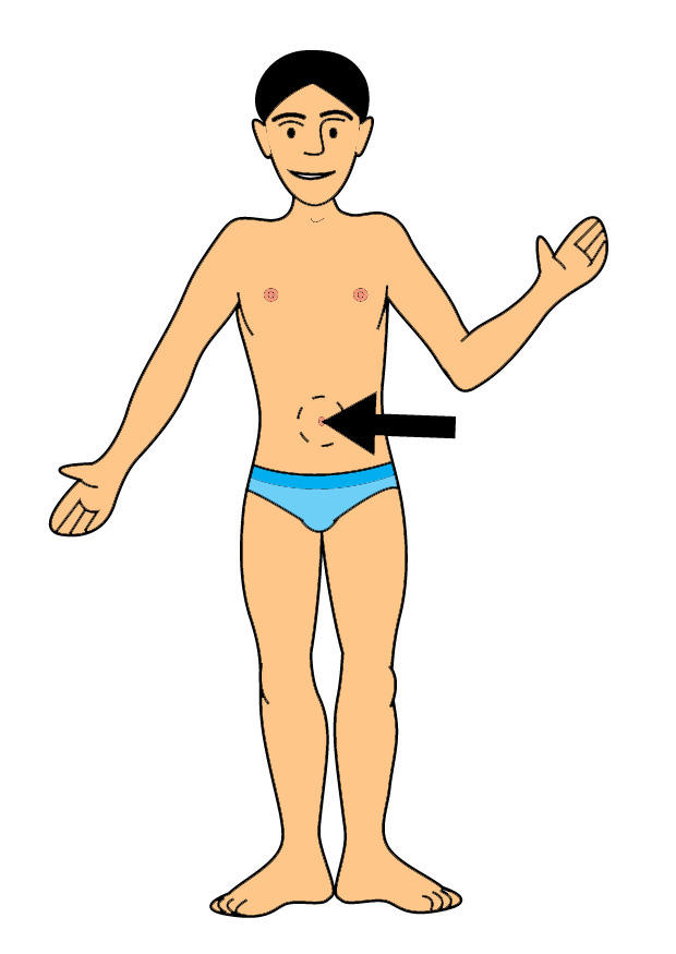 navel Image navel