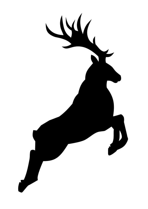 deer Coloring page deer