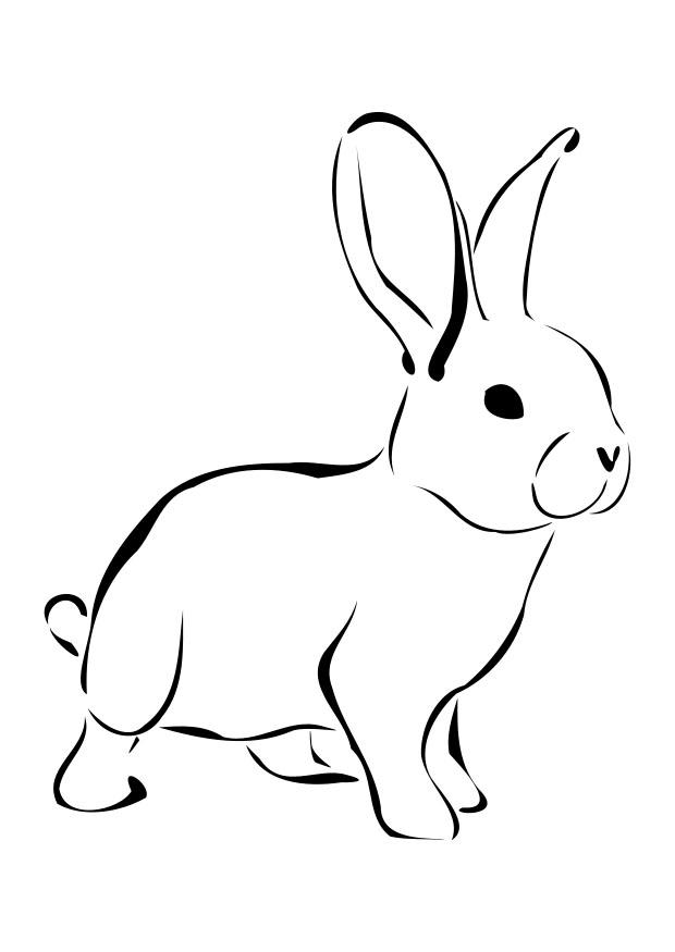 rabbit Coloring page rabbit