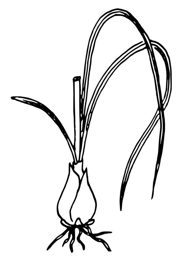 star of bethlehem Coloring page star of bethlehem