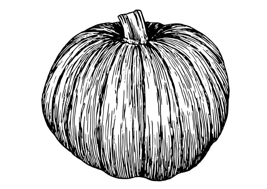 pumpkin Coloring page pumpkin