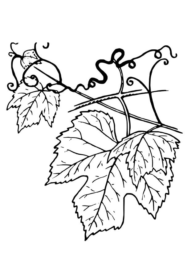 tendril Coloring page tendril