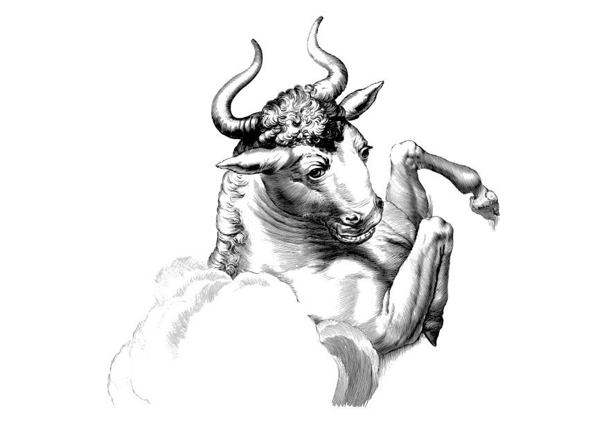 bull Coloring page bull