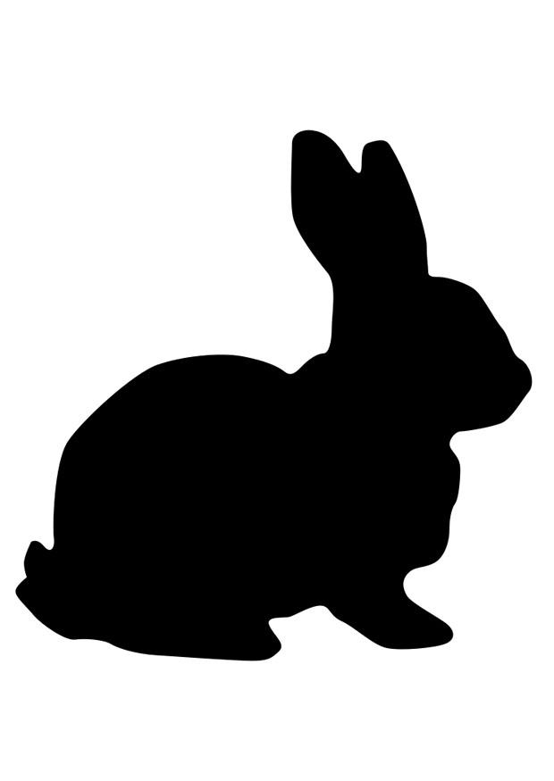 rabbit Coloring page rabbit