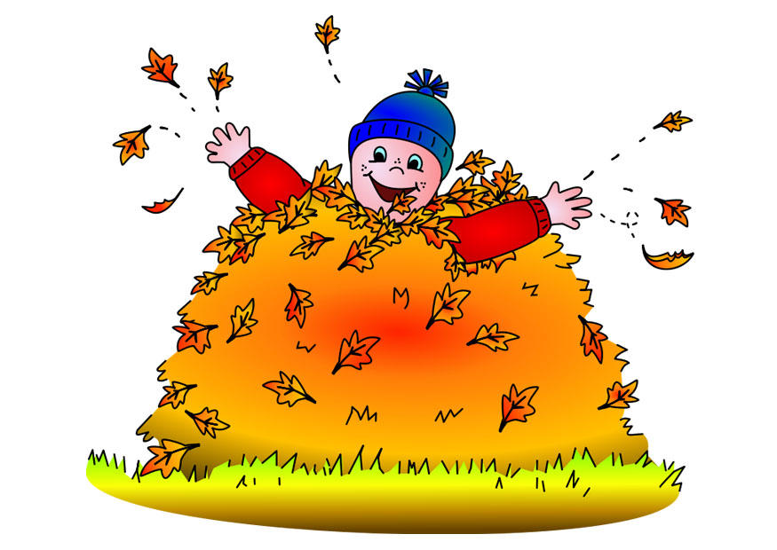 autumn Image autumn