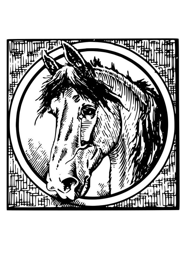 horse Coloring page horse