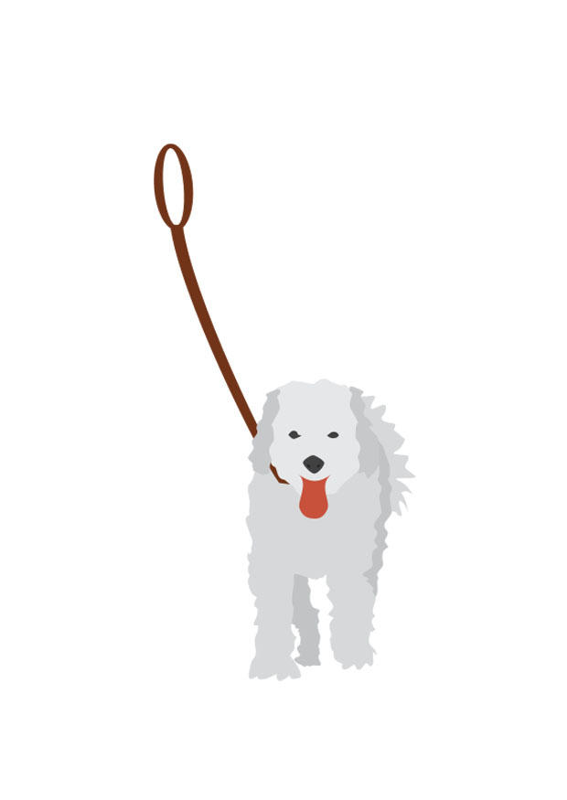 dog on lead Image dog on lead