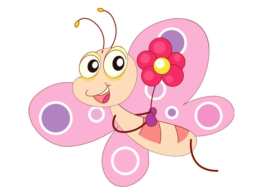 butterfly Image butterfly