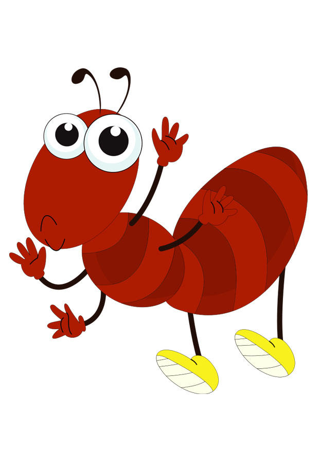 ant Image ant