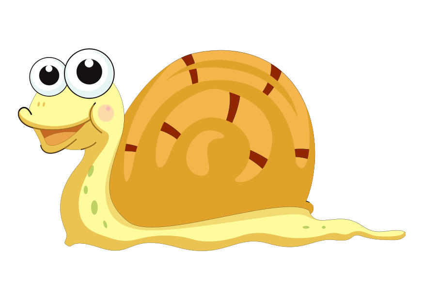 Image snail