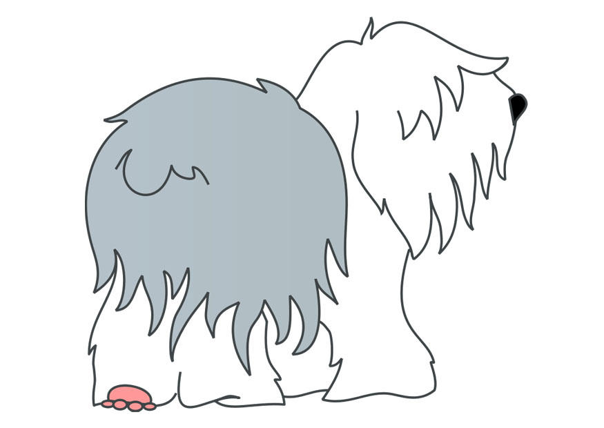 Image dog - bobtail