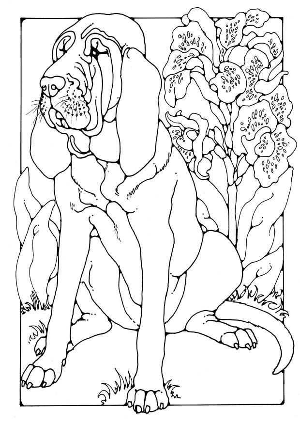 Coloring page bloodhound