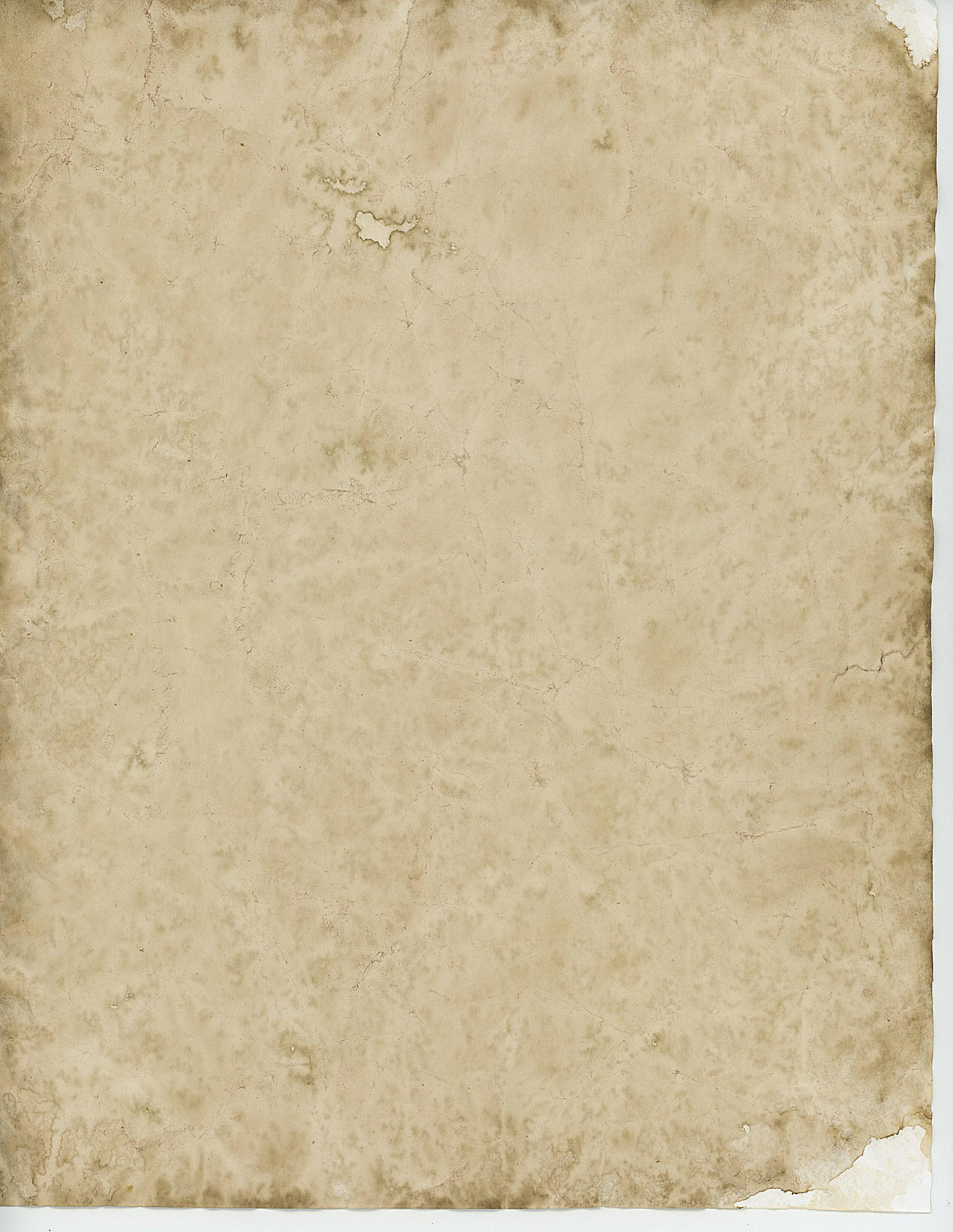 parchment Photo parchment
