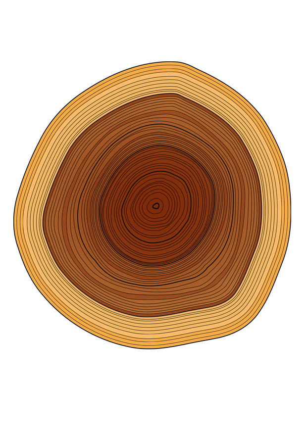 tree rings Image tree rings