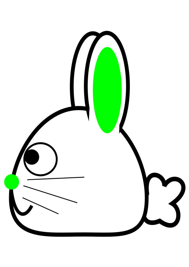 rabbit - side Image rabbit - side