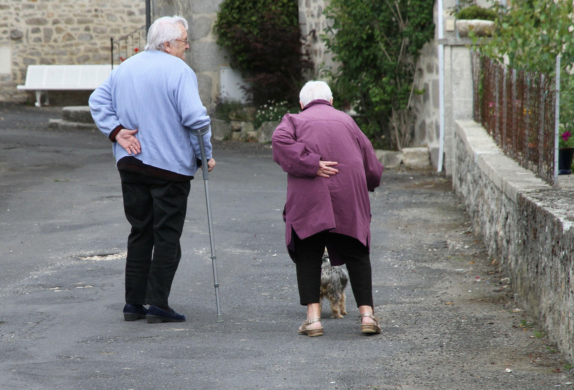 elderly Photo elderly