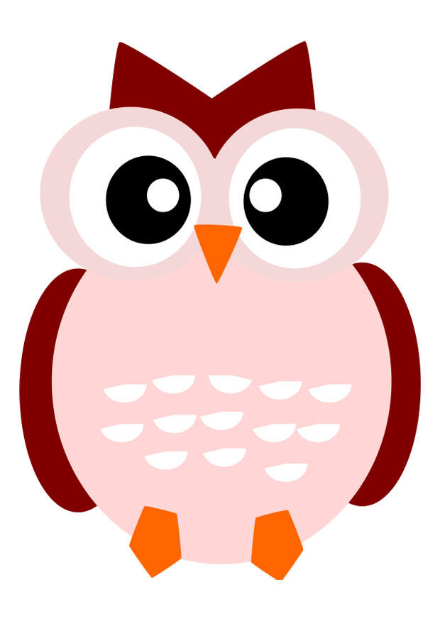 owl Image owl
